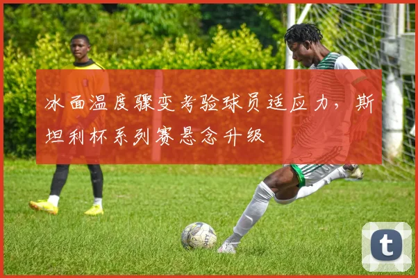 冰面温度骤变考验球员适应力，斯坦利杯系列赛悬念升级