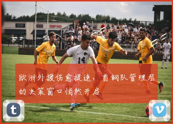 欧洲外援伤愈提速，首钢队管理层的决策窗口悄然开启
