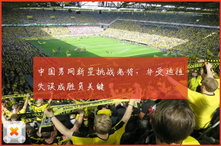 中国男网新星挑战老将,非受迫性失误成胜负关键